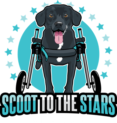 scoot to the stars